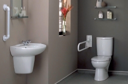 Image of a modern bathroom with various fixed and hinged supports to assist the user