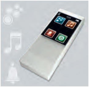 The option including a remote control with functions for spa, music and an alarm clock